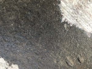 How the rust converter looked after application